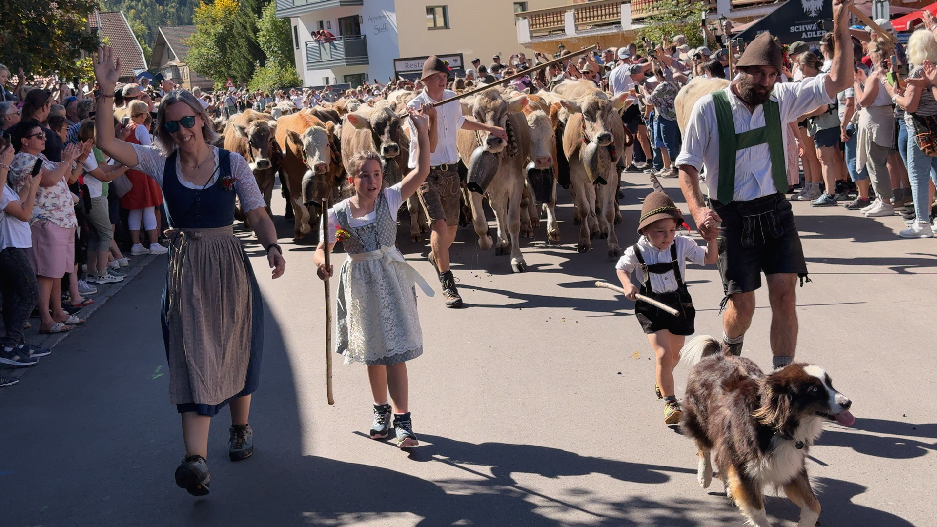 Szene aus Umadum in Österreich: Almabtrieb in Tirol